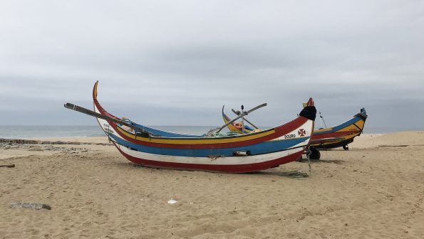moliceiro lapai